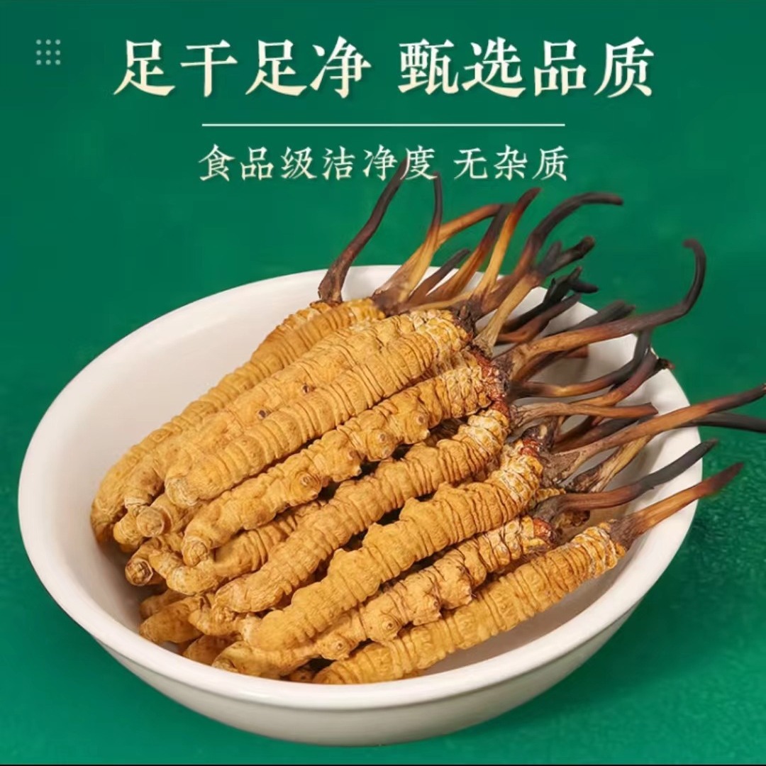 藏区野生冬虫夏草西藏那曲头茬雪山干虫草正品礼盒装-阿里巴巴