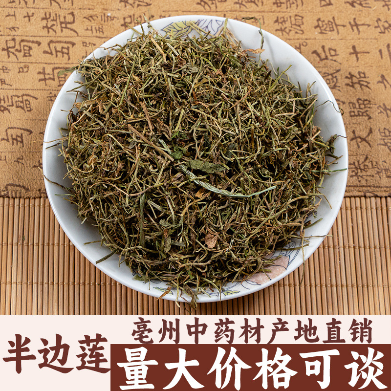 半边莲 正品半边连新鲜干货瓜仁草 亳州中药材批发中草药药食同源