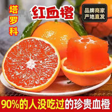 四川塔罗科橙子血橙应季新鲜水果红橙子血橙10斤薄皮整箱批发