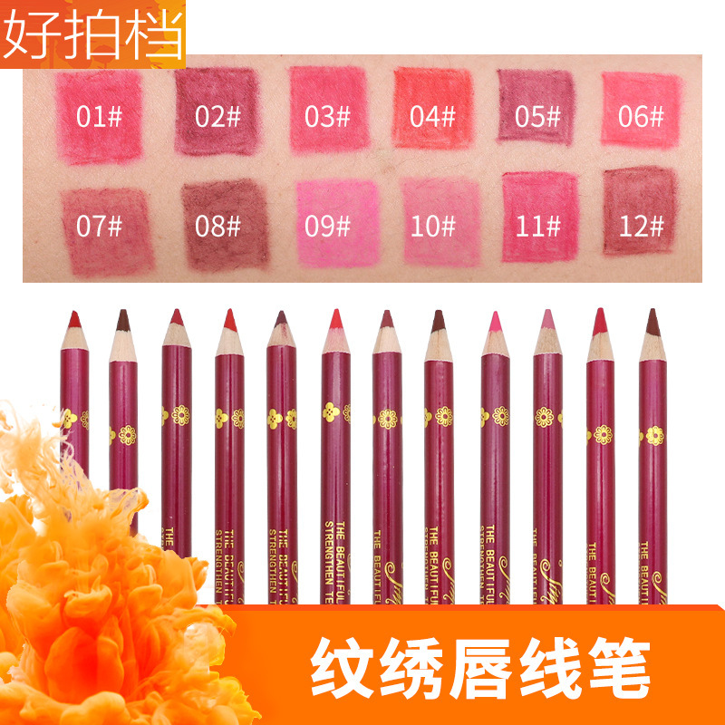 Tattoo Embroidery Lip Liner 12 Colors Matte Waterproof Non-Decolorizing Velvet Lipstick Pen Makeup Factory Direct Sales