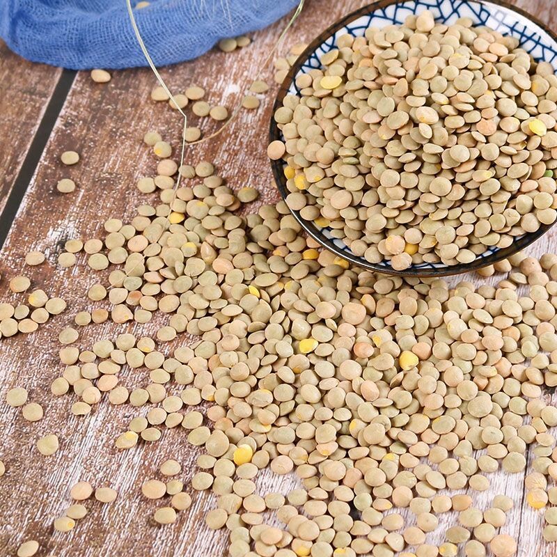 小扁豆 扁豆子 甘肃特产 高原扁豆子 兵豆可生豆芽1斤5斤包邮