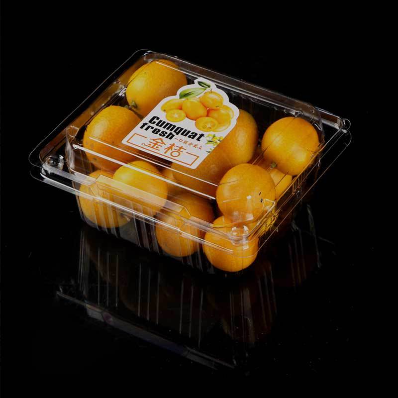 一次性水果盒子塑料透明有盖果切盒草莓盒拼盘车厘子包装盒优质款