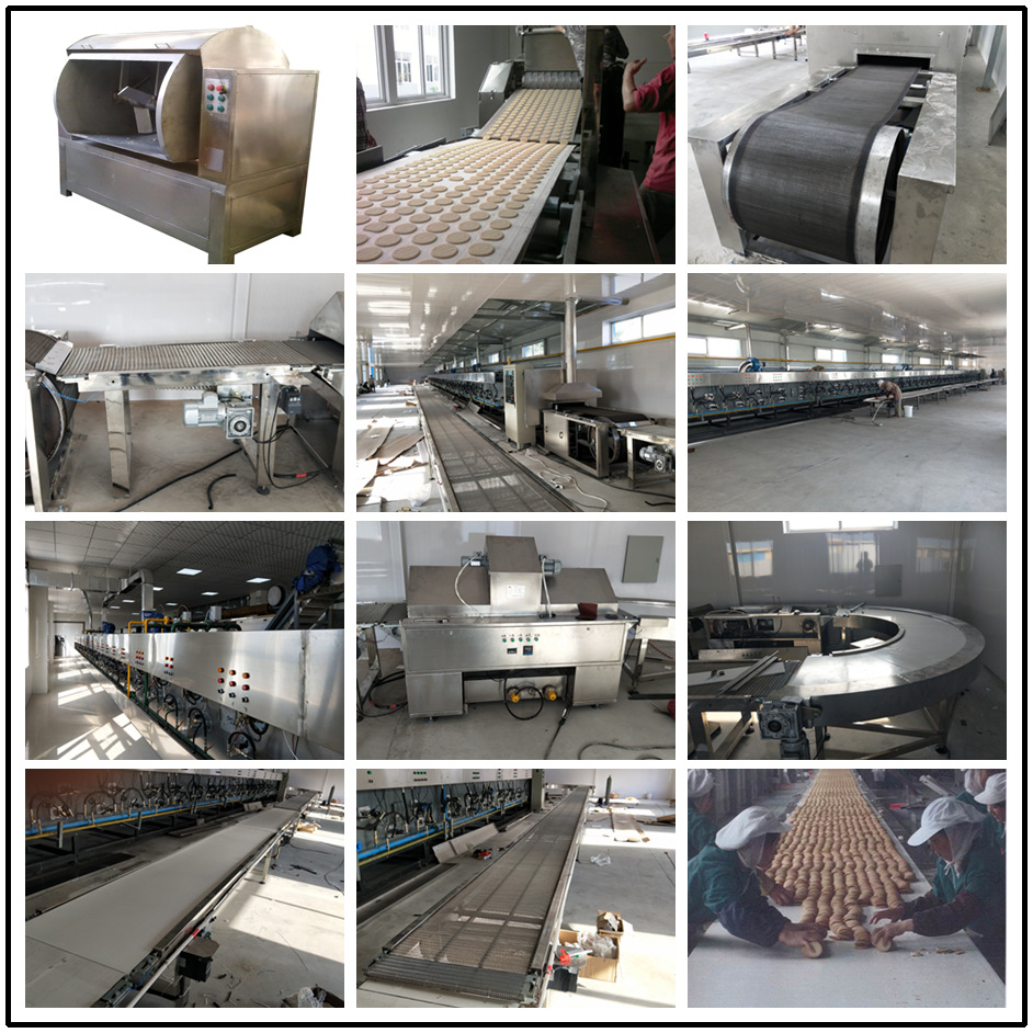 长沙早餐营养饼干加工机器