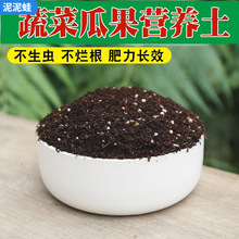 蔬菜苗营养土通用型有机家用盆栽菜苗种苗幼苗秧苗种菜瓜专用土壤