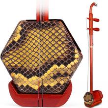 二胡包教会苏州红木乐器初学者入门儿童老人演奏专业铜轴胡琴