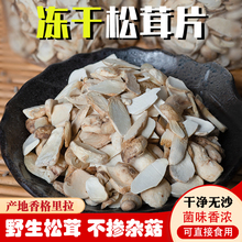 纯野生松茸干片冻干松茸菌碎片云南香格里拉菌菇干货山珍新鲜食材
