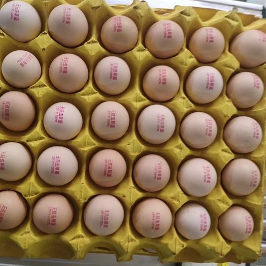 无抗虫草土鸡蛋/精品包装360枚/箱 毛重34-38斤