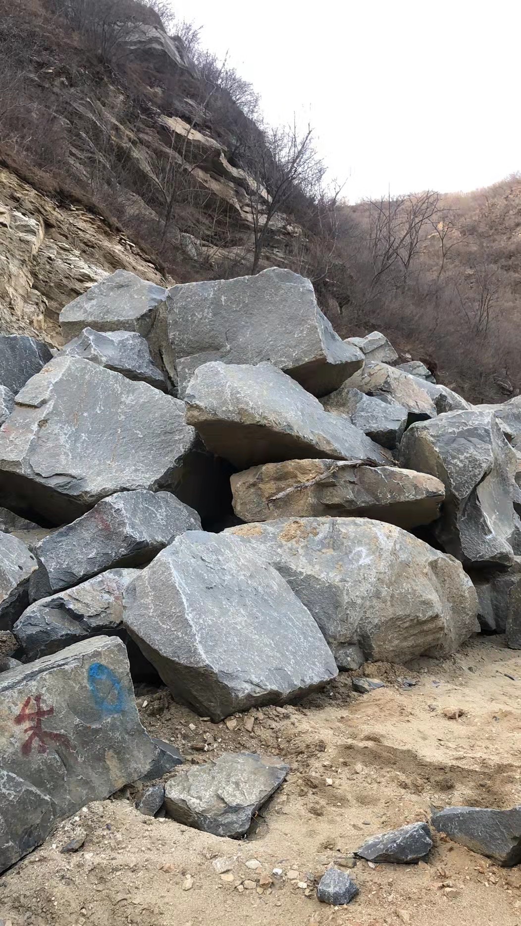 中国山西河北黑石材供应 花岗岩园林假山造景景观石公园置石