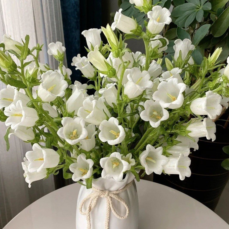 鲜花束当季风铃花水养鲜切花昆明斗直发真花厂家跨境代发批发