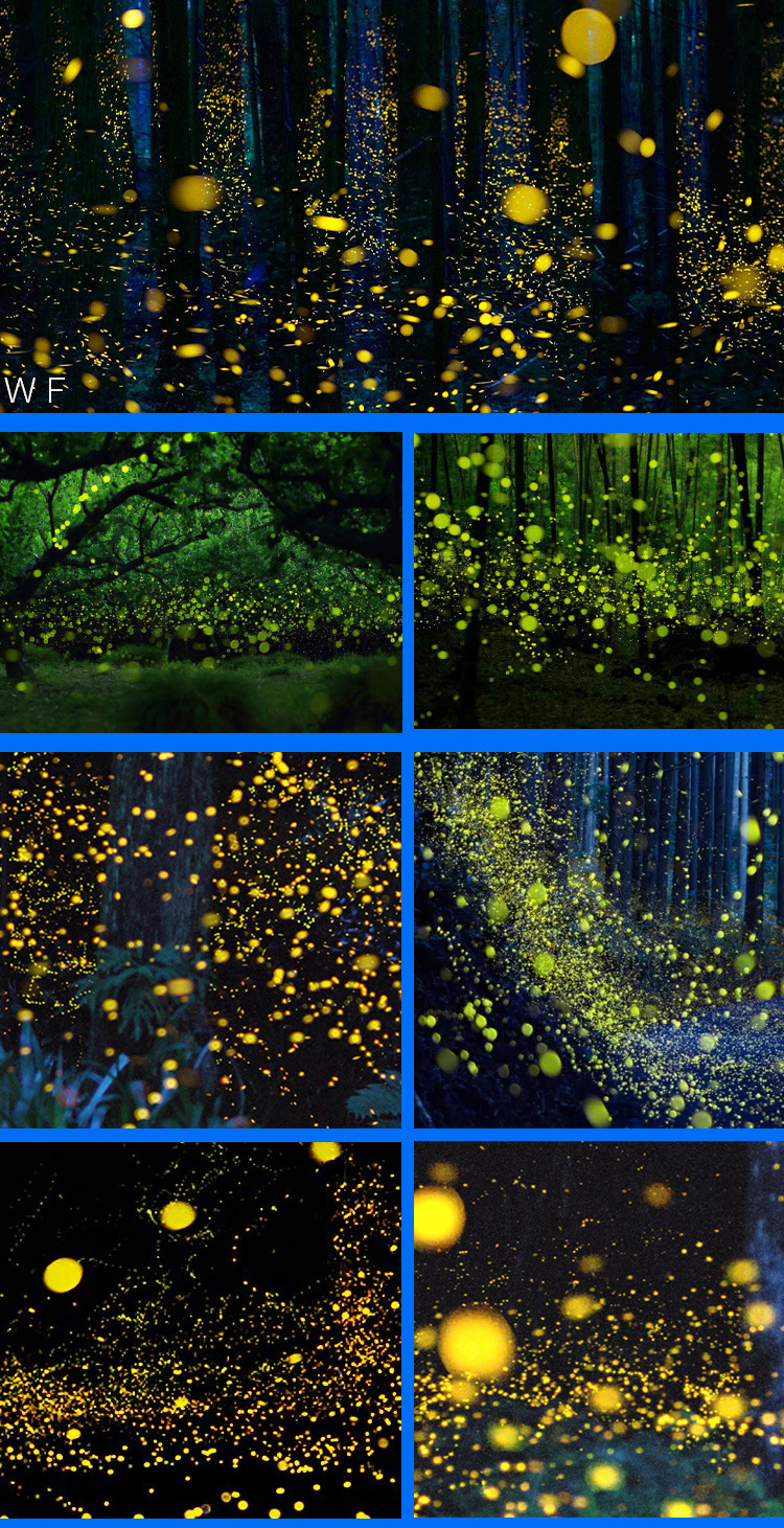 投影灯萤火虫 背景ip65萤火虫 激光灯户外量化工萤火虫程文旅厂家