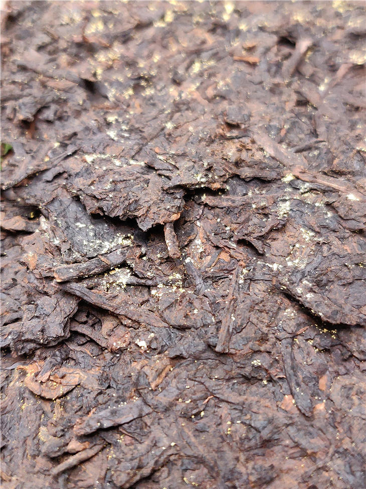 云南普洱茶老茶2016年金花茶砖500g古树老熟茶砖普洱茶叶熟茶砖