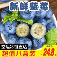 种蓝莓L鲜果系列新鲜颗颗大果宝宝辅食蓝梅水果