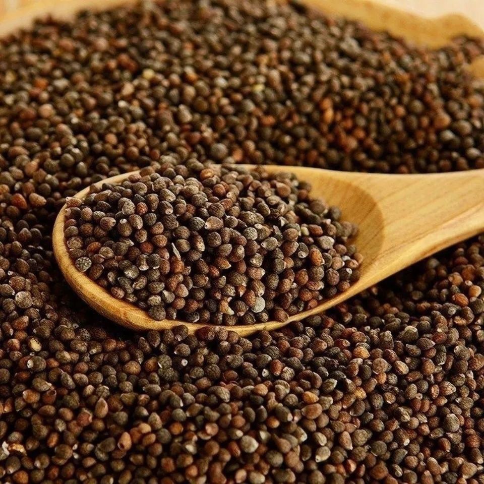 紫苏子食用批发苏子粒熟紫苏在粉新货无硫中药材小苏子生紫苏子