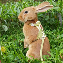 新款可爱兔子背带皮带套装兔子皮带适用于兔子宠物配件户外散步