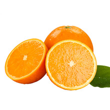 湖北秭归夏橙9斤5斤当季酸甜多汁新鲜水果手剥橙子批发脐血包邮10