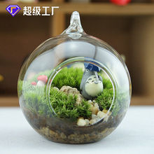 厂家批发 微景观玻璃花瓶 微景观生态瓶多肉植物苔藓瓶 圆形8厘米
