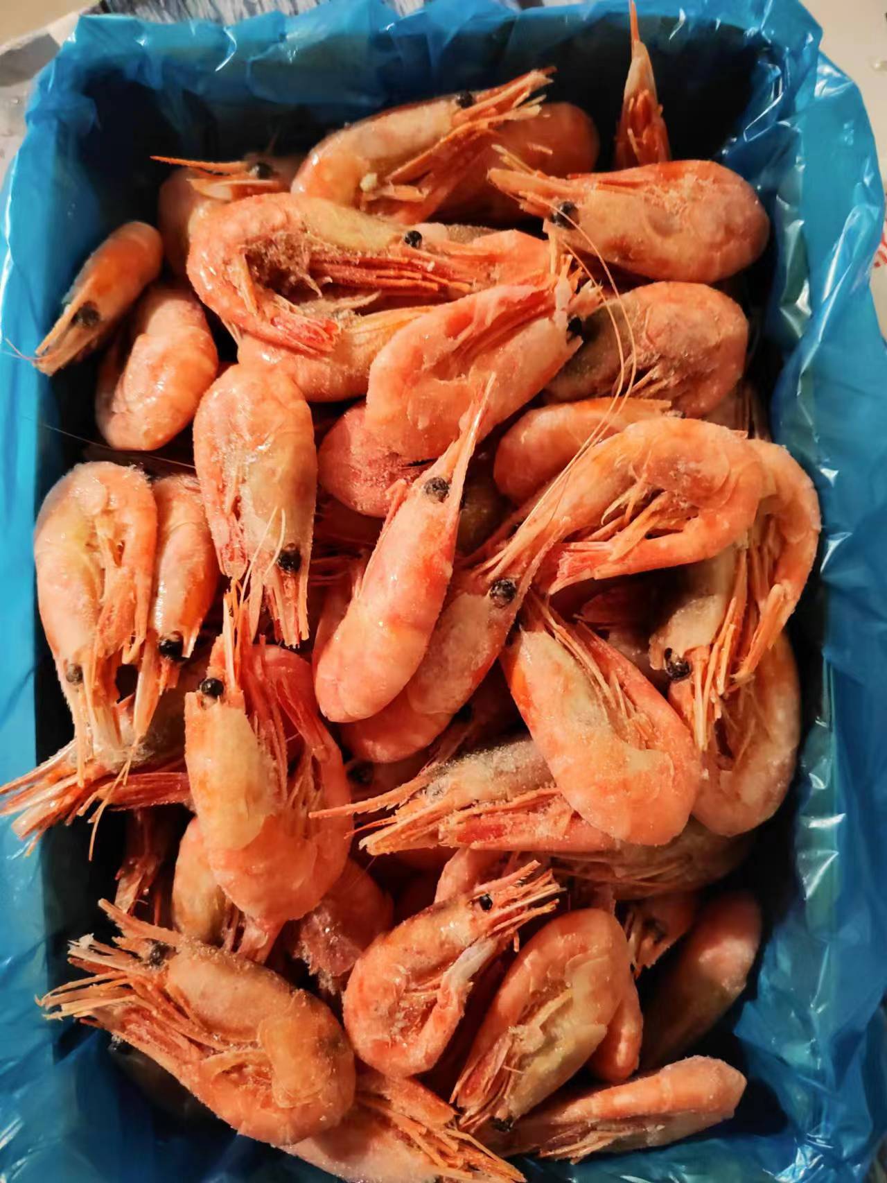 北极甜虾头腹籽混合甜虾带籽北极虾冰虾净重3斤 冰虾-阿里巴巴