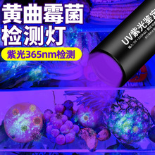 黄曲霉素检测笔充电365nm菜板荧光剂毒素菌紫光灯检验手电筒专用