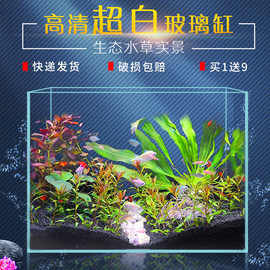 鱼缸超白金晶玻璃长方形小型客厅桌面水族箱生态草热带金一件代发