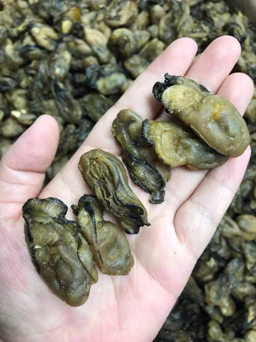 200头生晒蚝干250g生蚝肉海蚝仔湛江特产牡蛎干蚝豉生蚝干批发