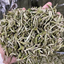 2024年春茶福鼎的白茶米粒芽白毫银针500g米芽银针散茶 厂家批发