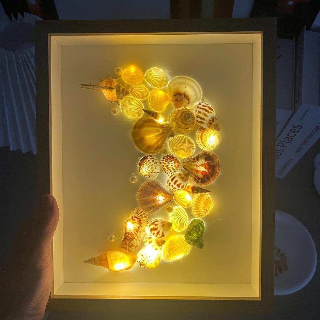贝壳小夜灯海螺手工diy贝壳灯相框画创意摆件标本礼物相框送女生