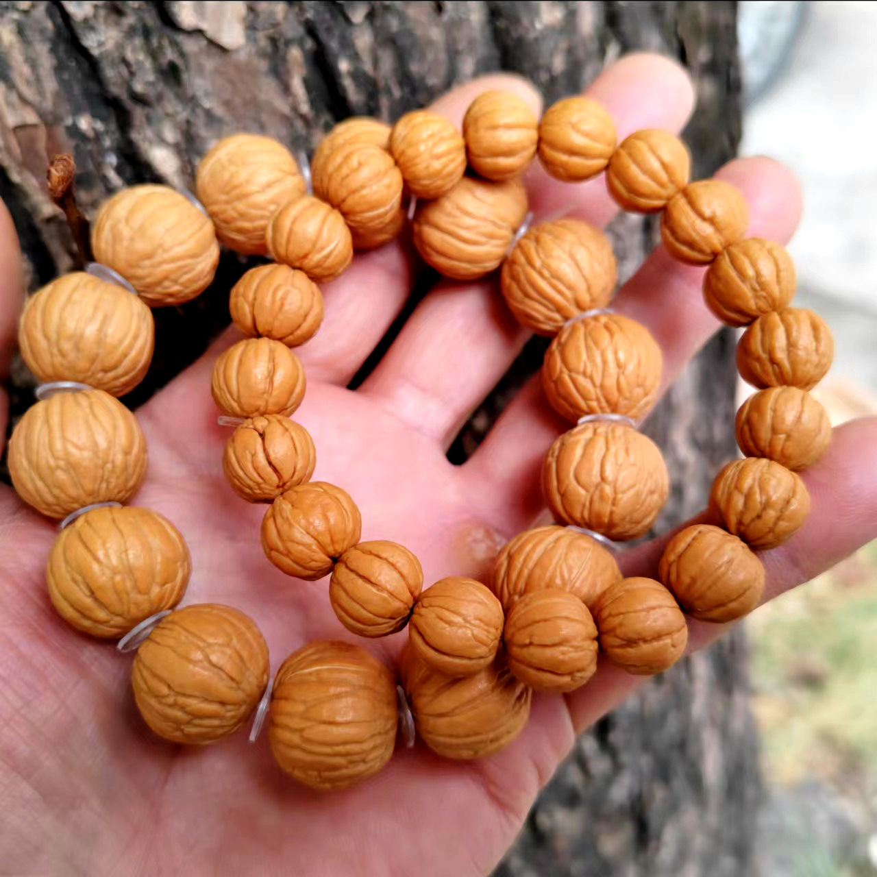 精品原桩凤羽猴头土豪双鳍南瓜矮桩猴头手串单圈无修文玩小核桃佛