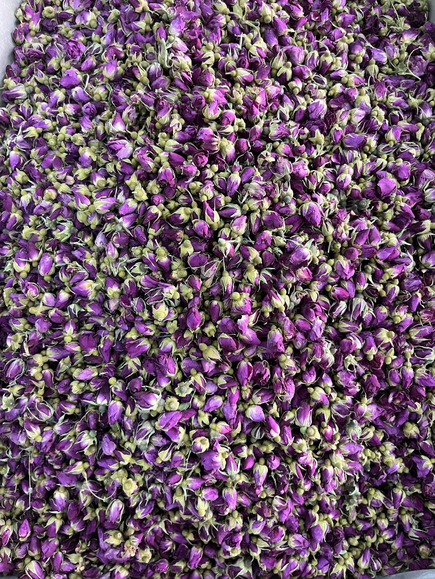 兰州苦水玫瑰花茶散装 玫瑰花玫瑰干花蕾 兰州小玫瑰药厂饮片厂