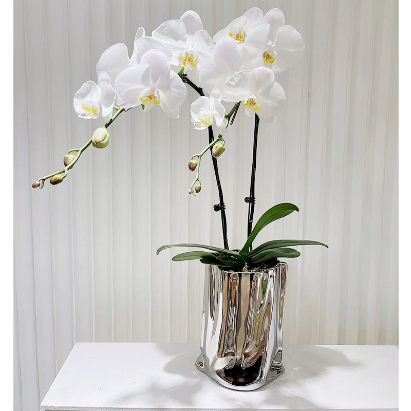银色花瓶高级感轻奢电镀陶瓷花瓶蝴蝶兰创意纸袋装饰插花瓶批发