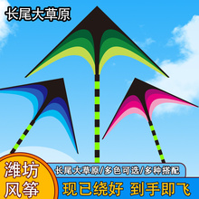 潍坊大草原大型高档风筝大人专用微风易飞适合新手儿童初学者风筝