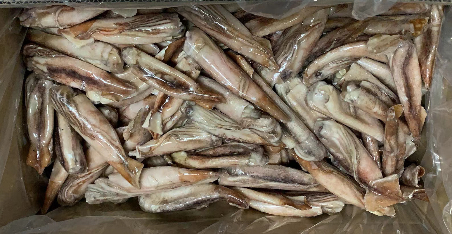 单冻鱿鱼40-80克海鲜水产品小真鱿鱼飞机头鱿鱼 可按要求定重包冰