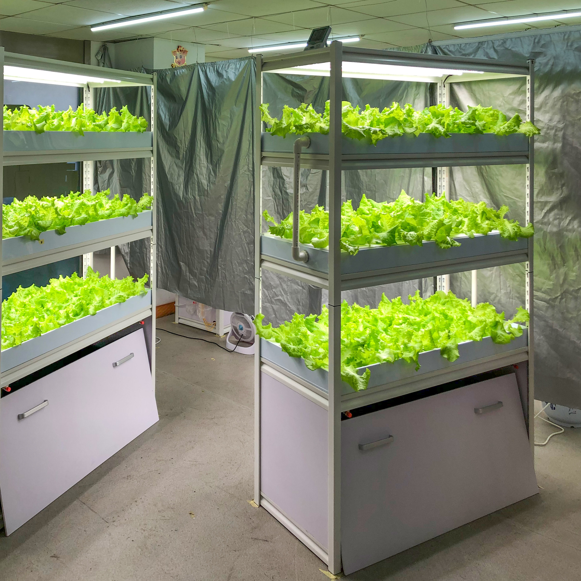 无土栽培设备大立体种植架农场阳台种菜蔬菜水培设备家庭植物工厂