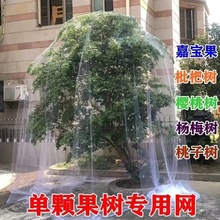 新款防鸟神器果树防鸟网樱桃树嘉宝树防鸟罩大棚鱼塘葡萄防护网