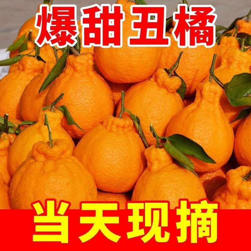 高山丑橘丑八怪10斤当季新鲜水果橘子耙耙粑粑丑柑橘整箱桔子现摘