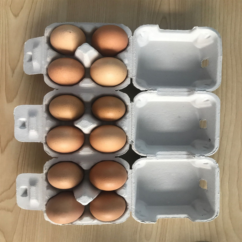 4枚白色纸浆蛋盒蛋托纸托纸浆模塑土鸡蛋柴鸡蛋洋鸡蛋笨鸡蛋可定