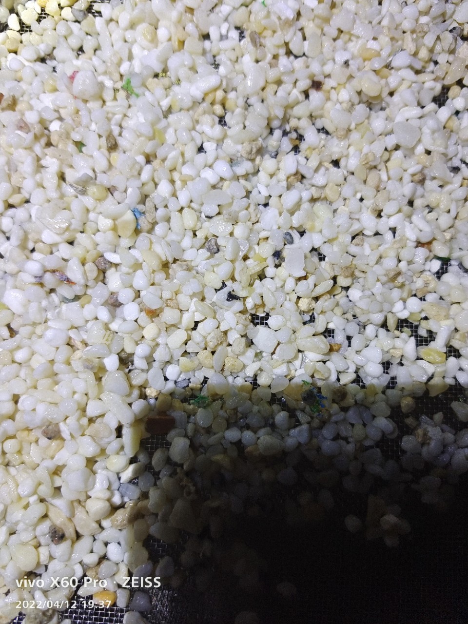 珍珠沙 南海贝壳沙 工艺沙 装饰沙 13379959928-阿里巴巴