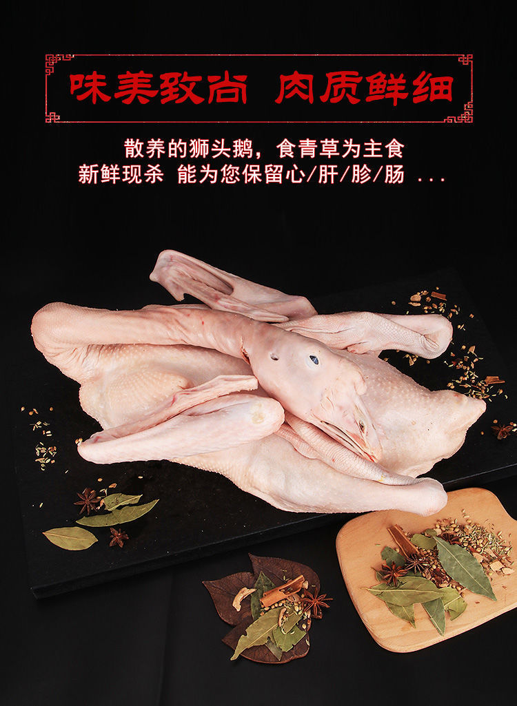 新鲜现潮汕特产狮头鹅整只10斤农家散养大鹅老鹅卤鹅肉真空包装