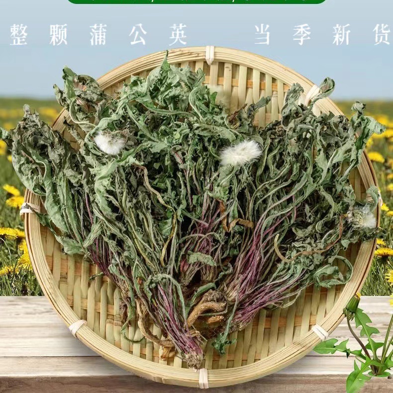 老店信誉产品蒲公英婆婆丁新货无硫规格齐全支持药检一件起批