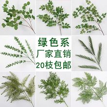 尤加利叶仿真绿色仿真花森系绿植叶子婚庆花艺装饰道具假花假树叶