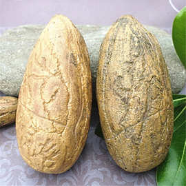 千眼菩提 菩提子通货 菩提原籽批发非洲一手货源精品大果质量保证