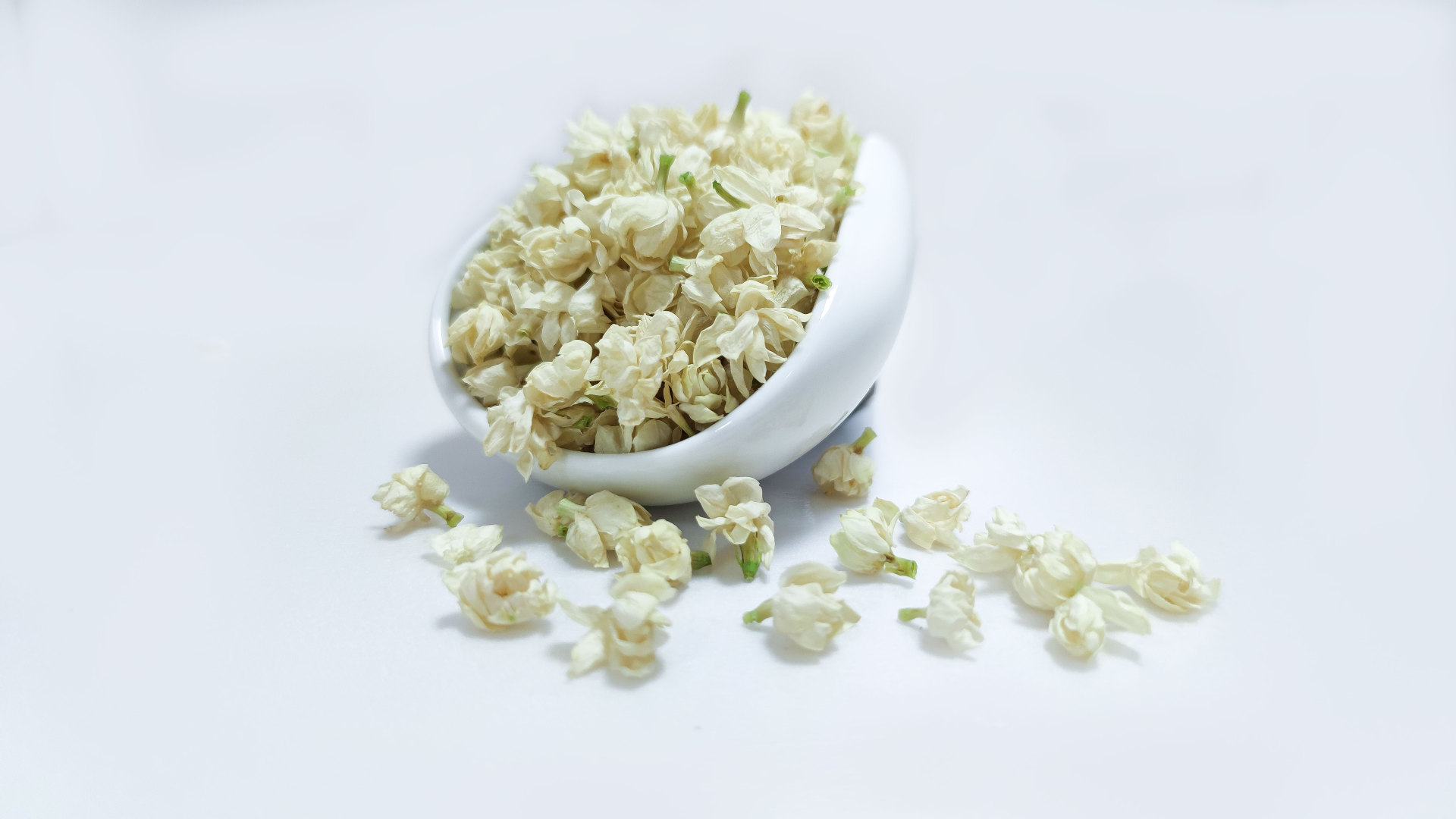 厂家直供当季新品横县茉莉花雪球去梗花苞茉莉花茶花草茶散装批发