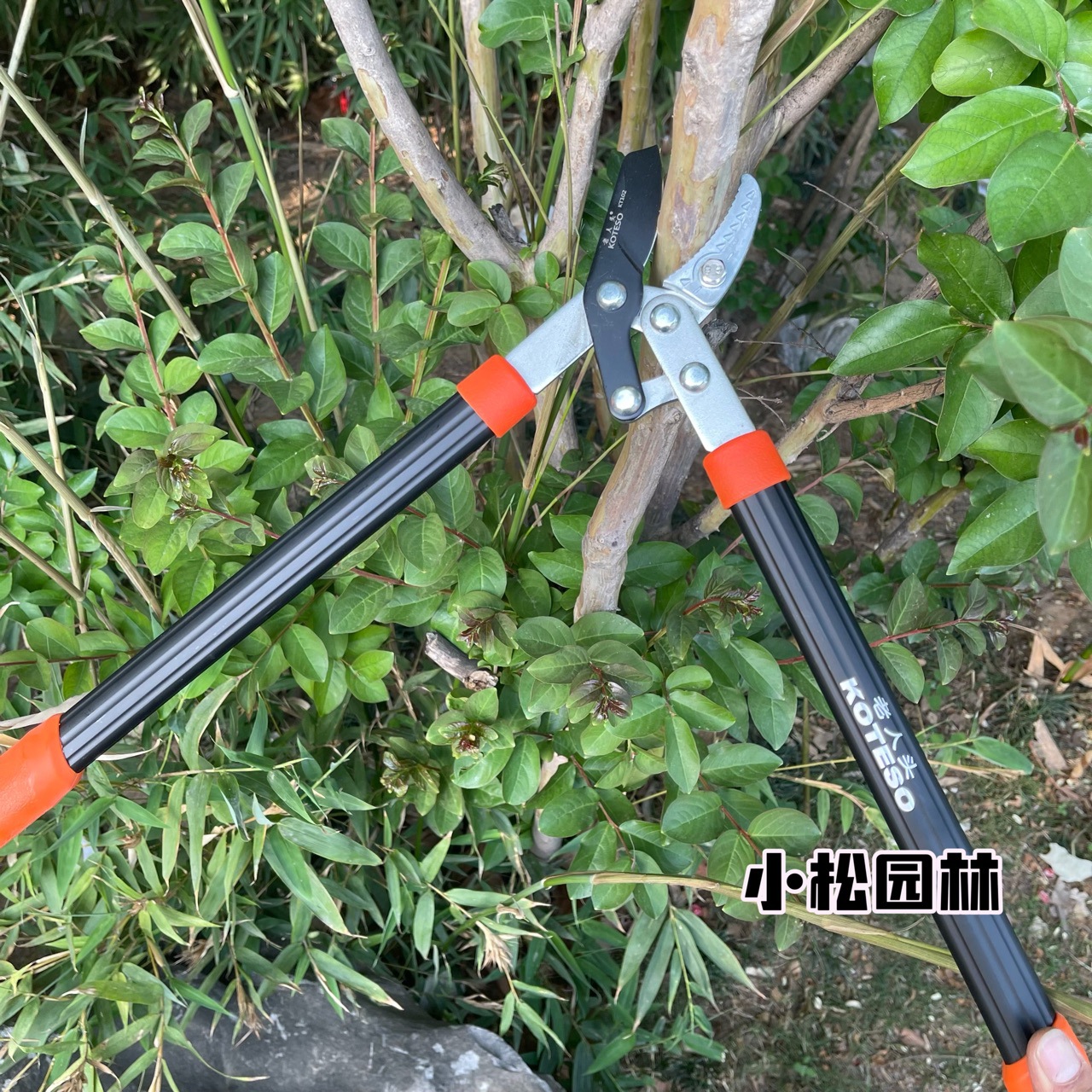 koteso开拓者kt102/132/132-d园林园艺工具粗枝剪苗