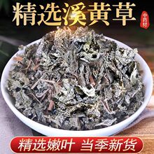 溪黄草广东肇庆特产野生材新鲜干货溪黄茶莓茶当季新货三和茶