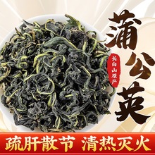 蒲公英茶花茶根金银花荷叶茶菊花茶生婆婆丁茶正非级野茶叶特级