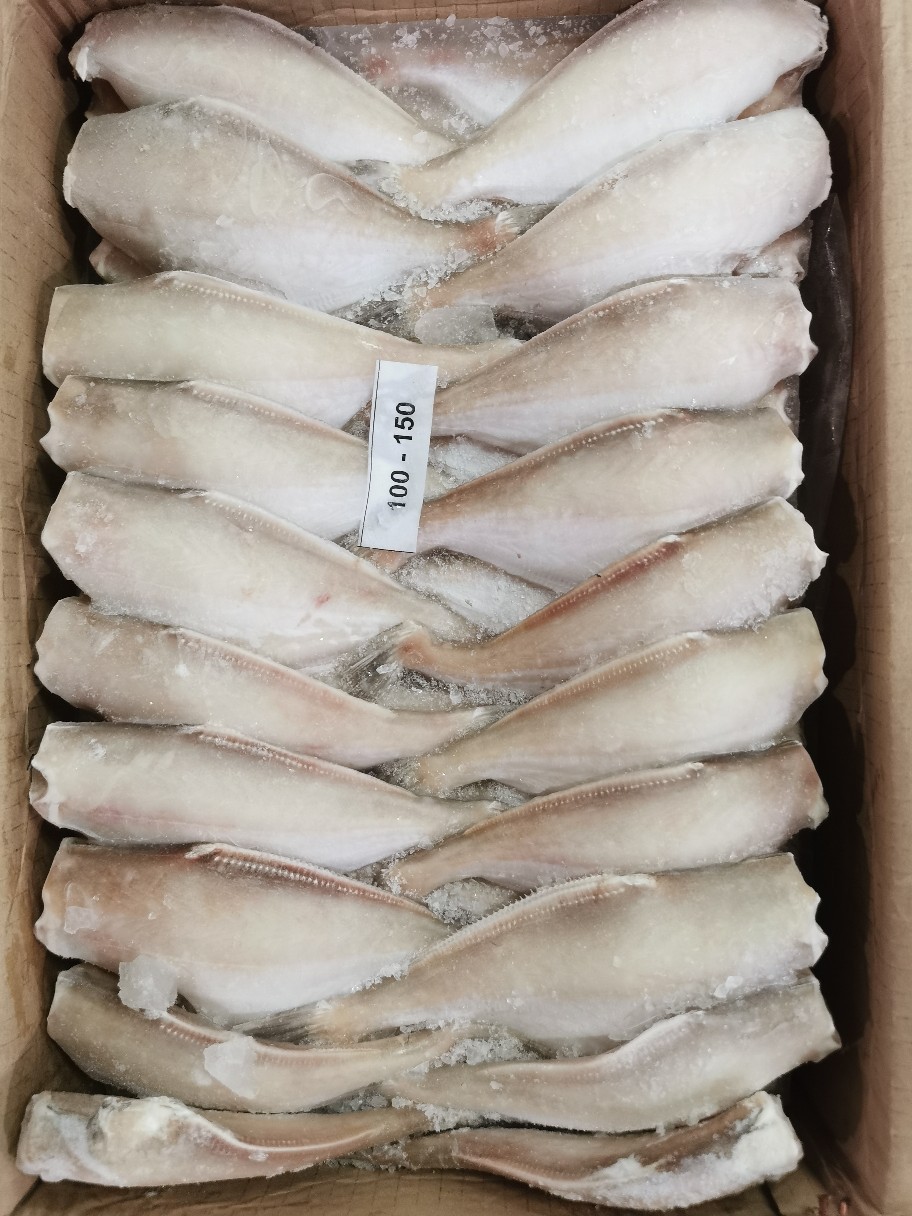冷冻鲜美耗儿鱼活冻马面鱼 比你想的更新鲜 二批酒店餐厅工厂直批