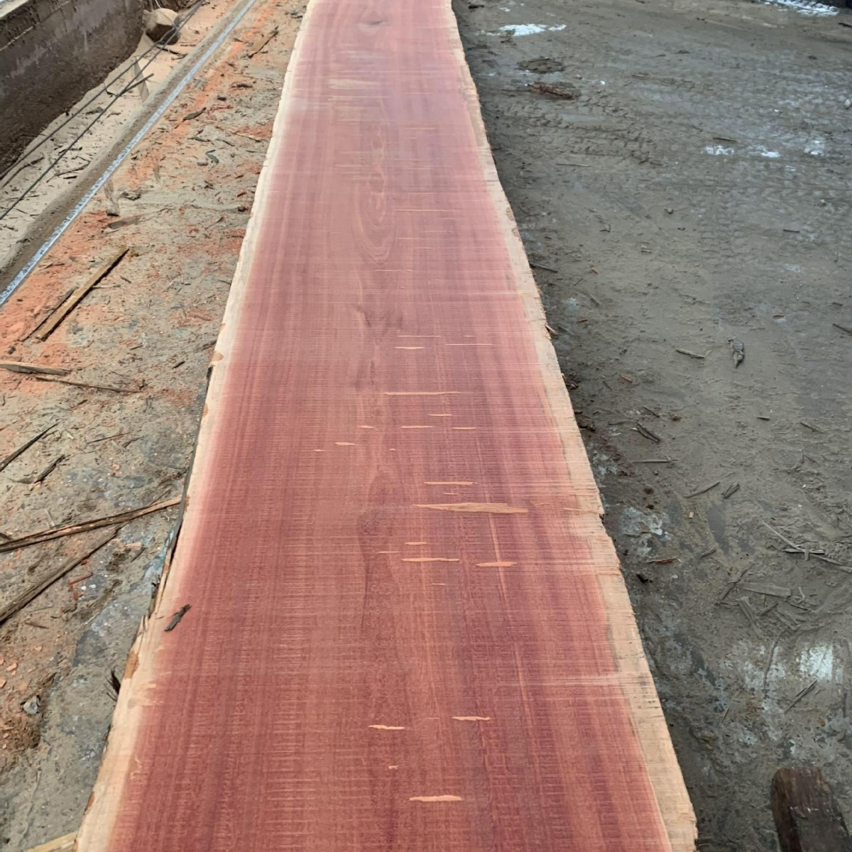 莫阿比 红樱桃 大径 原木 密度高 稳定性好 家具材-阿里巴巴