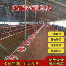 肉鸡自动料线 电机养殖场平养料线 养鸡场自动化喂料
