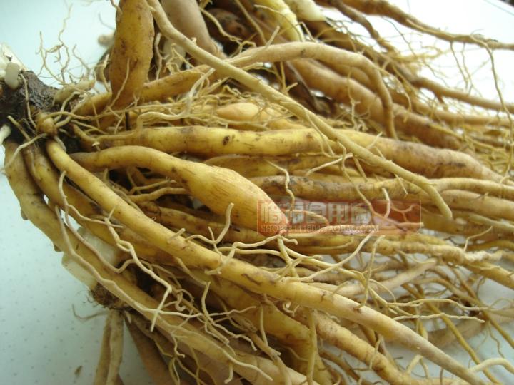 新鲜黄花菜根 金针根 萱草根 炖猪脚500g是生的1斤批发包邮