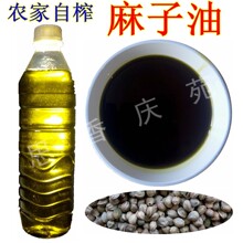 西北甘肃土特产 庆阳农家自榨火麻油火麻子油天然食用油500ml