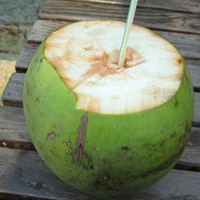 海南椰子椰青10个带皮椰子文昌三亚新鲜水果椰子现摘嫩大青椰子